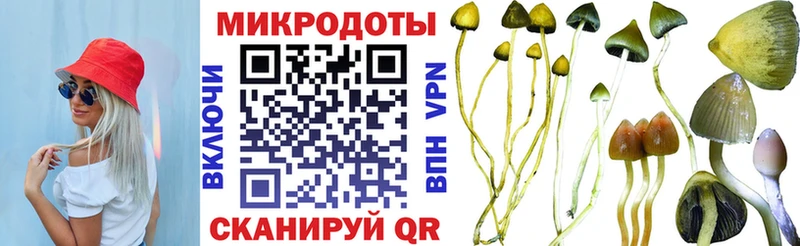 Псилоцибиновые грибы ЛСД  закладки  Черепаново 